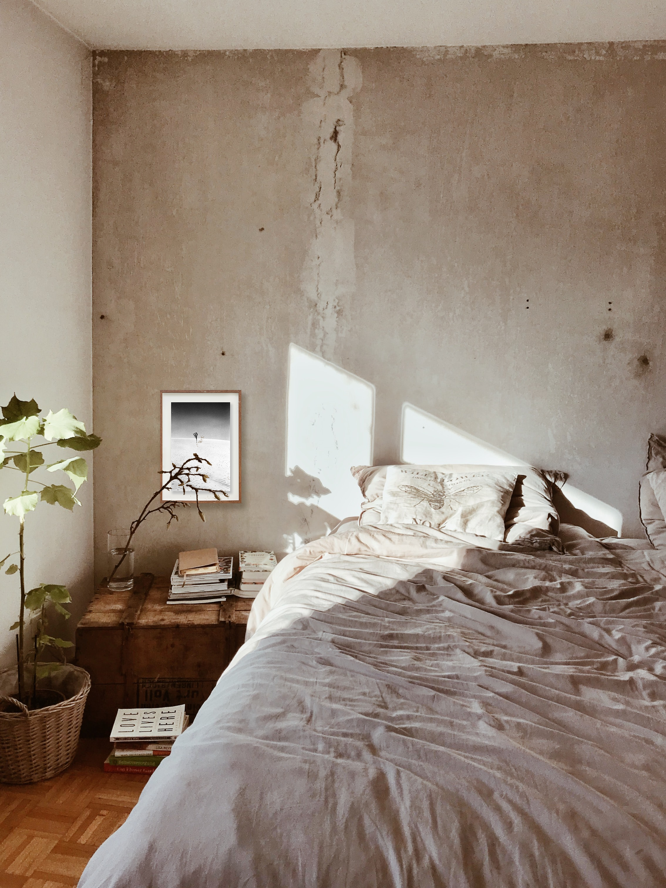 A árvore // Eleonora Aronis