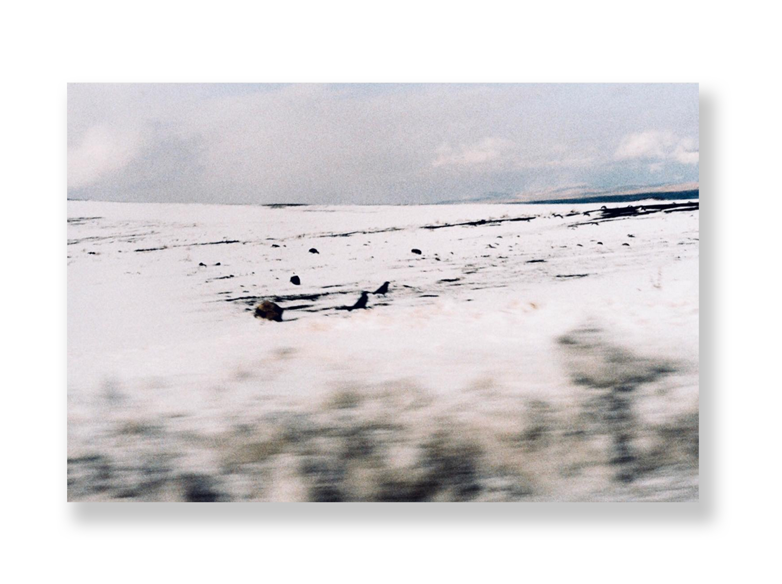 Sem título // Eleonora Aronis