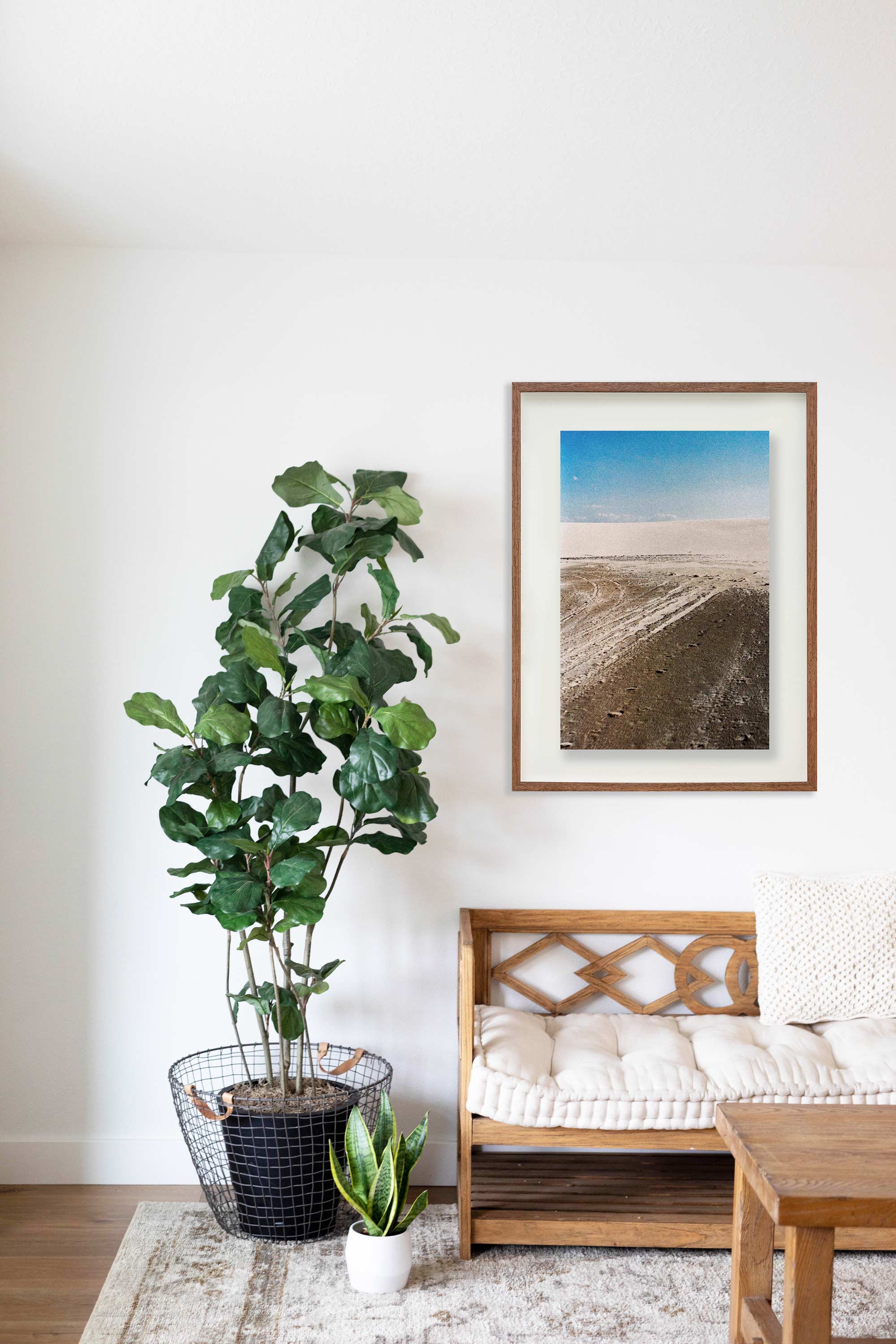 Sem título // Eleonora Aronis