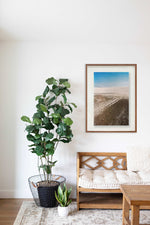 Sem título // Eleonora Aronis