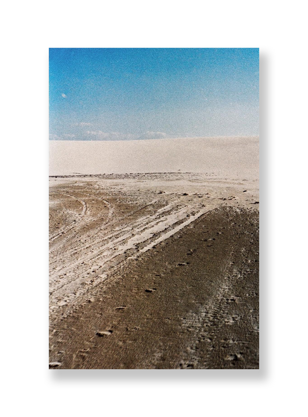 Sem título // Eleonora Aronis