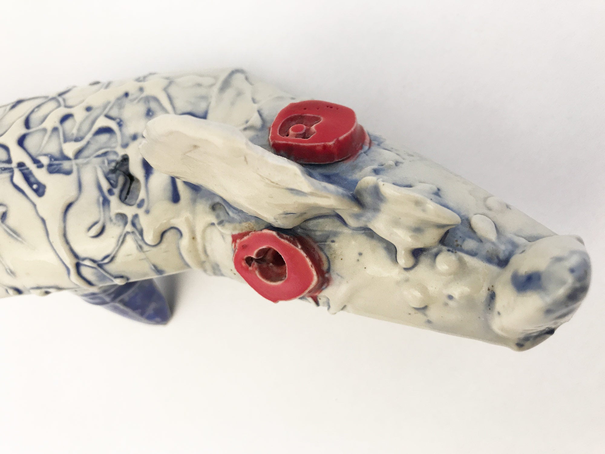 Bicho // Norma Grinberg