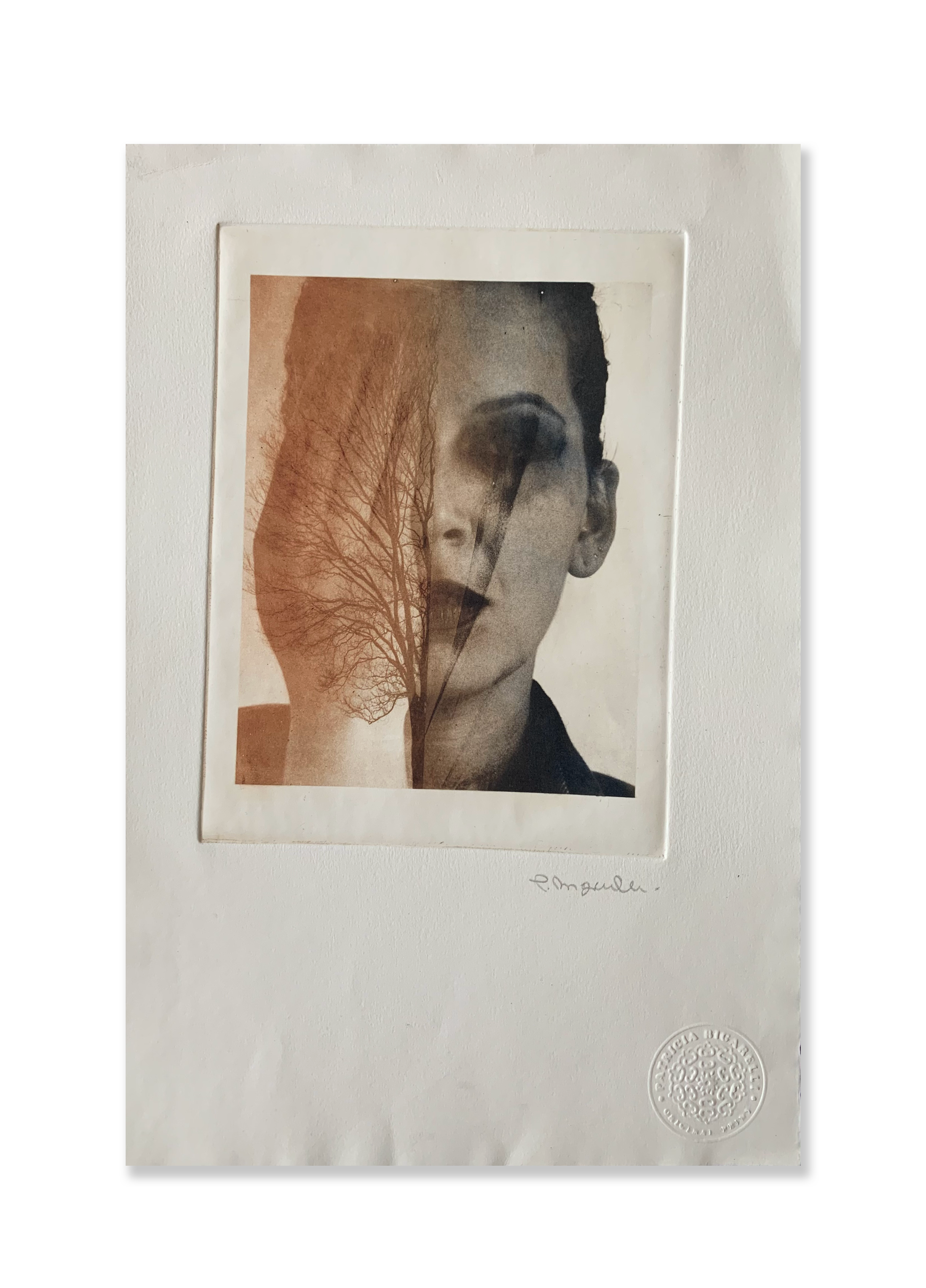 Sem título // Patricia Bigarelli