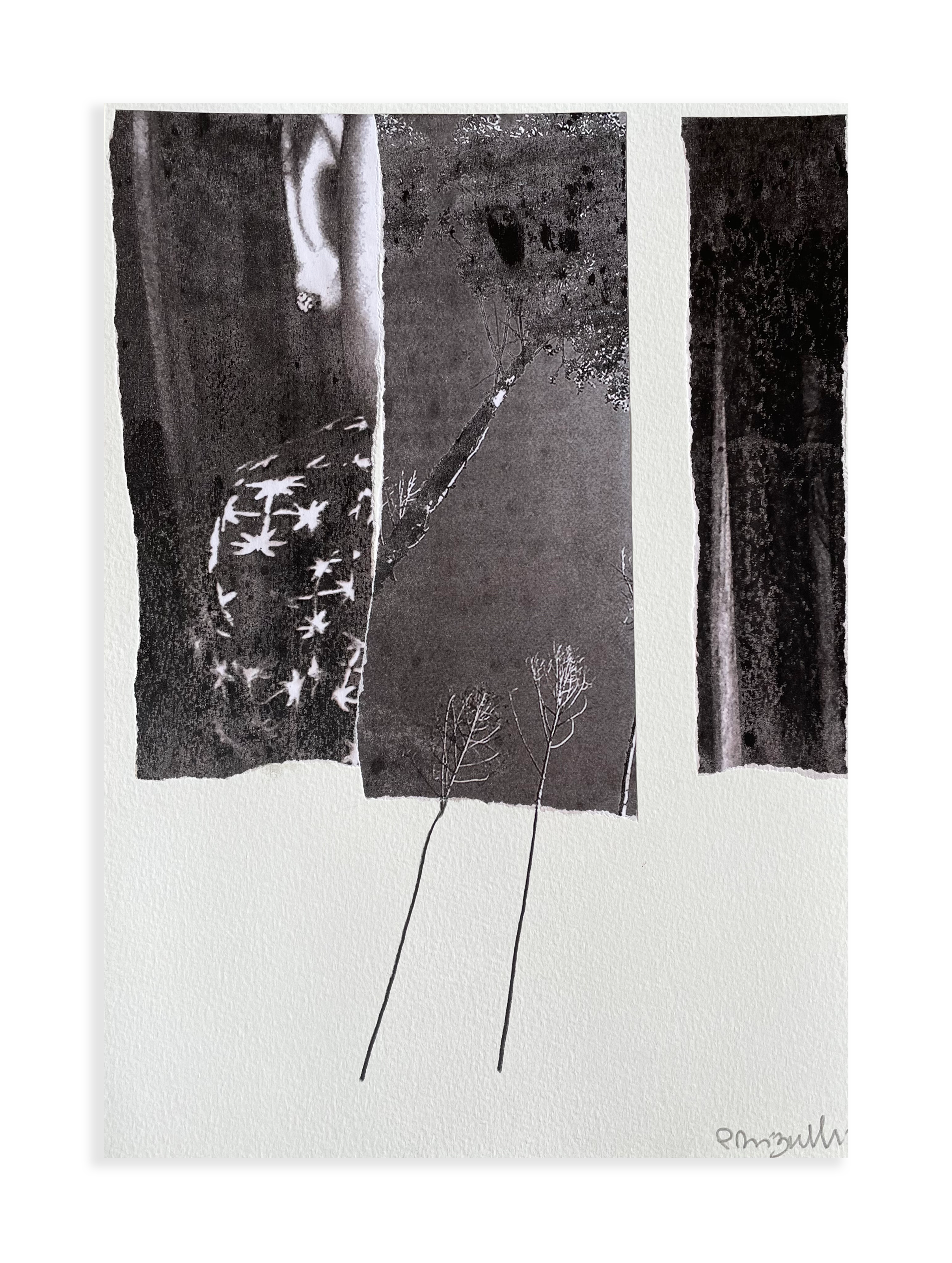 Sem título // Patricia Bigarelli