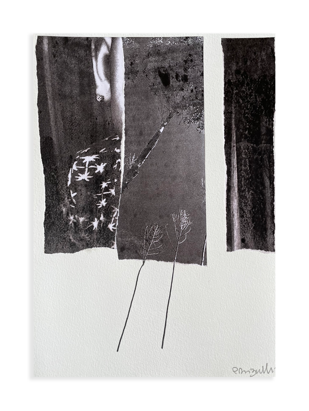 Sem título // Patricia Bigarelli