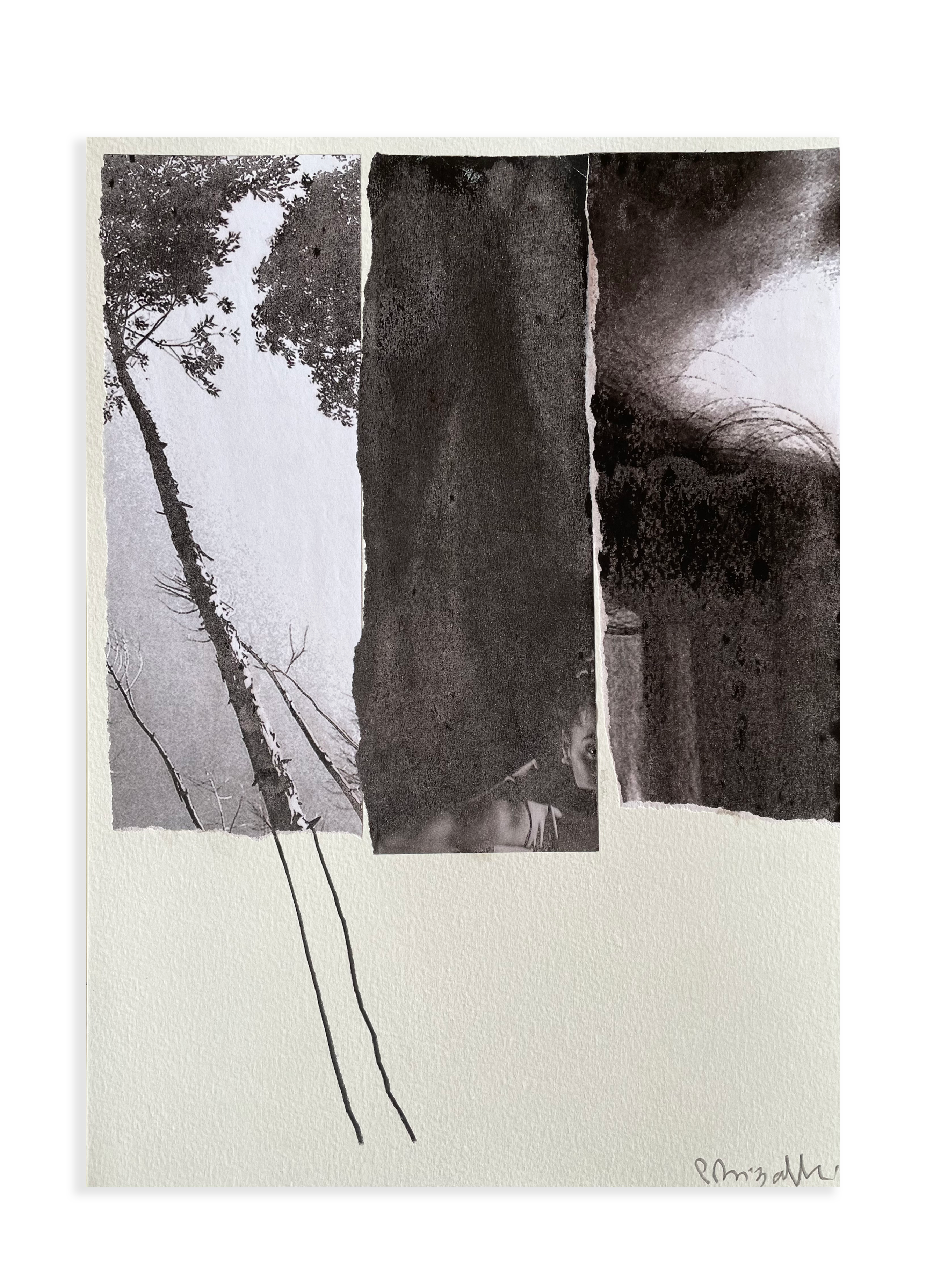 Sem título // Patricia Bigarelli