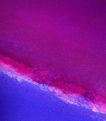 Sem título // Patricia Bigarelli