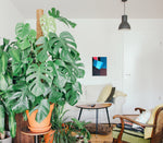 Azul Articulado // Pedro Lopes