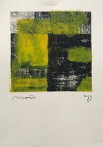 Sem título // Ricardo Bueno