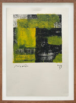 Sem título // Ricardo Bueno