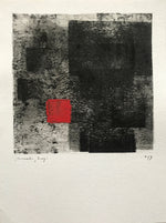 Sem título // Ricardo Bueno