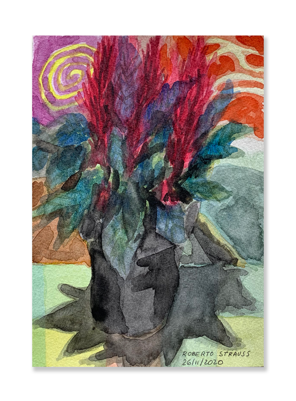 Sem título // Roberto Strauss