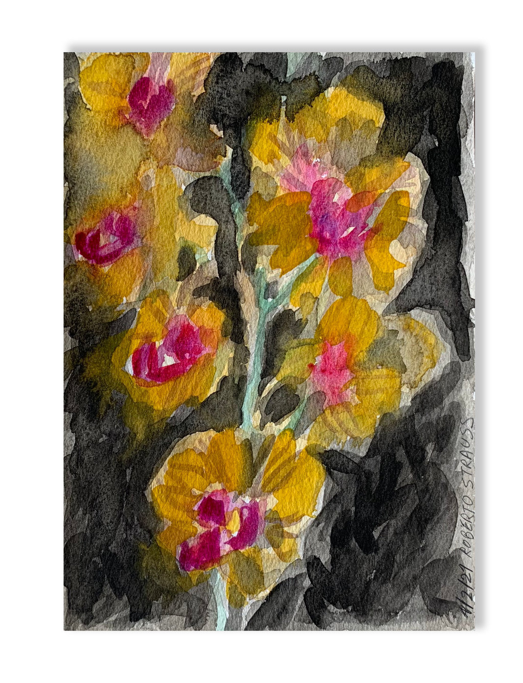 Sem título // Roberto Strauss