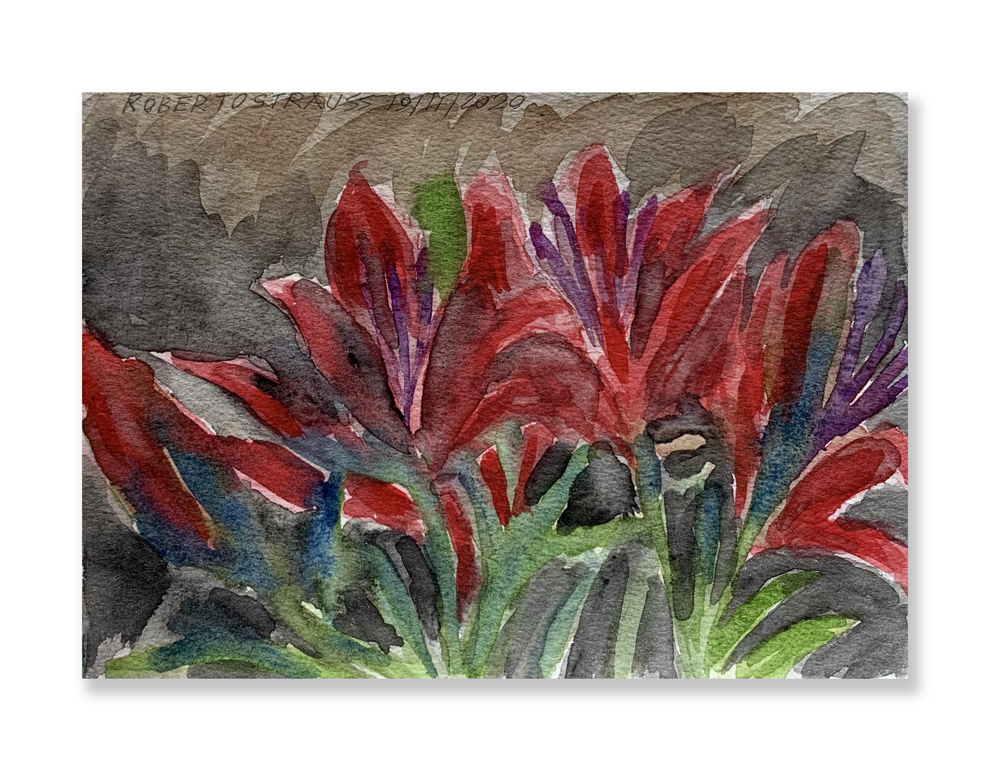 Sem título // Roberto Strauss