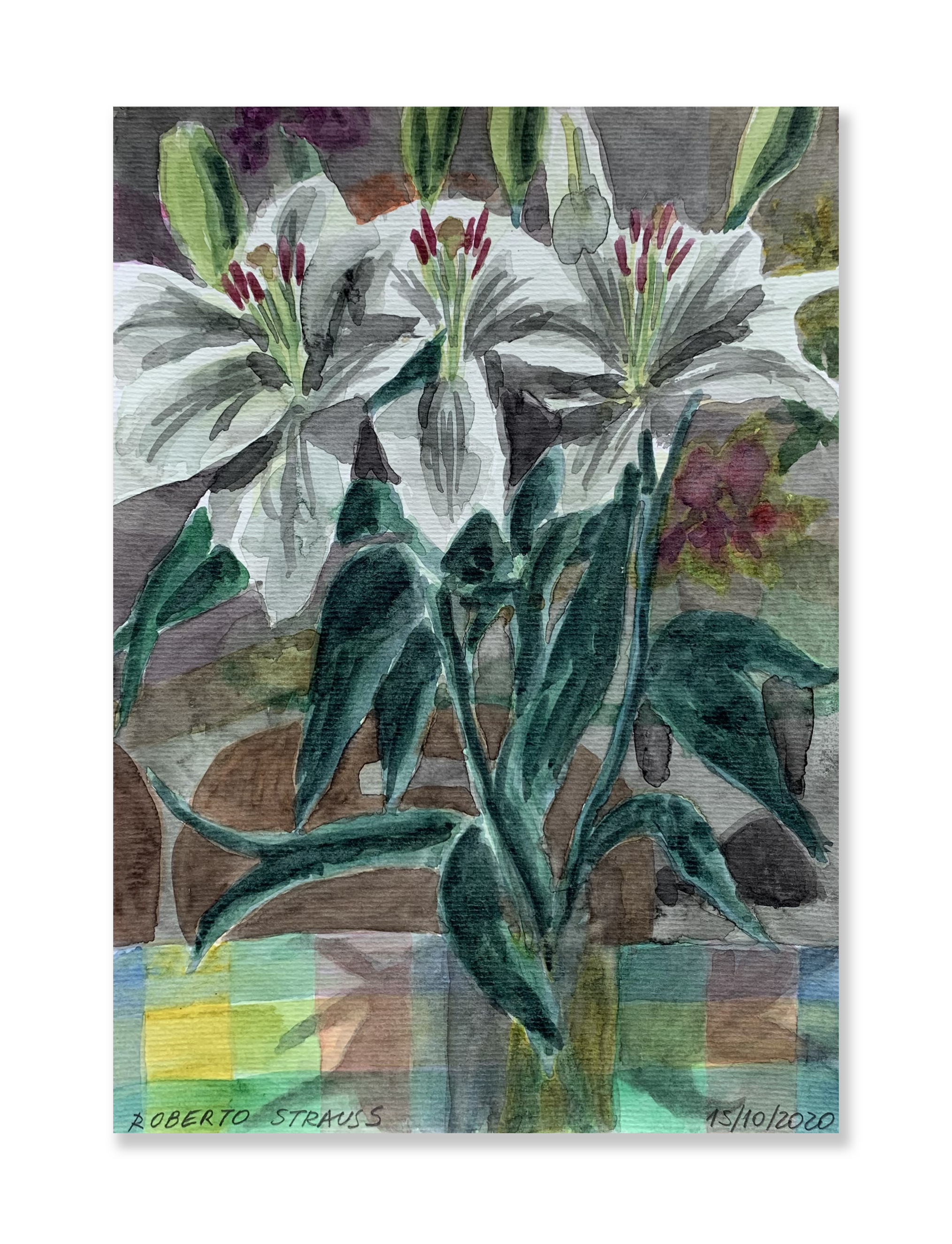 Sem título // Roberto Strauss