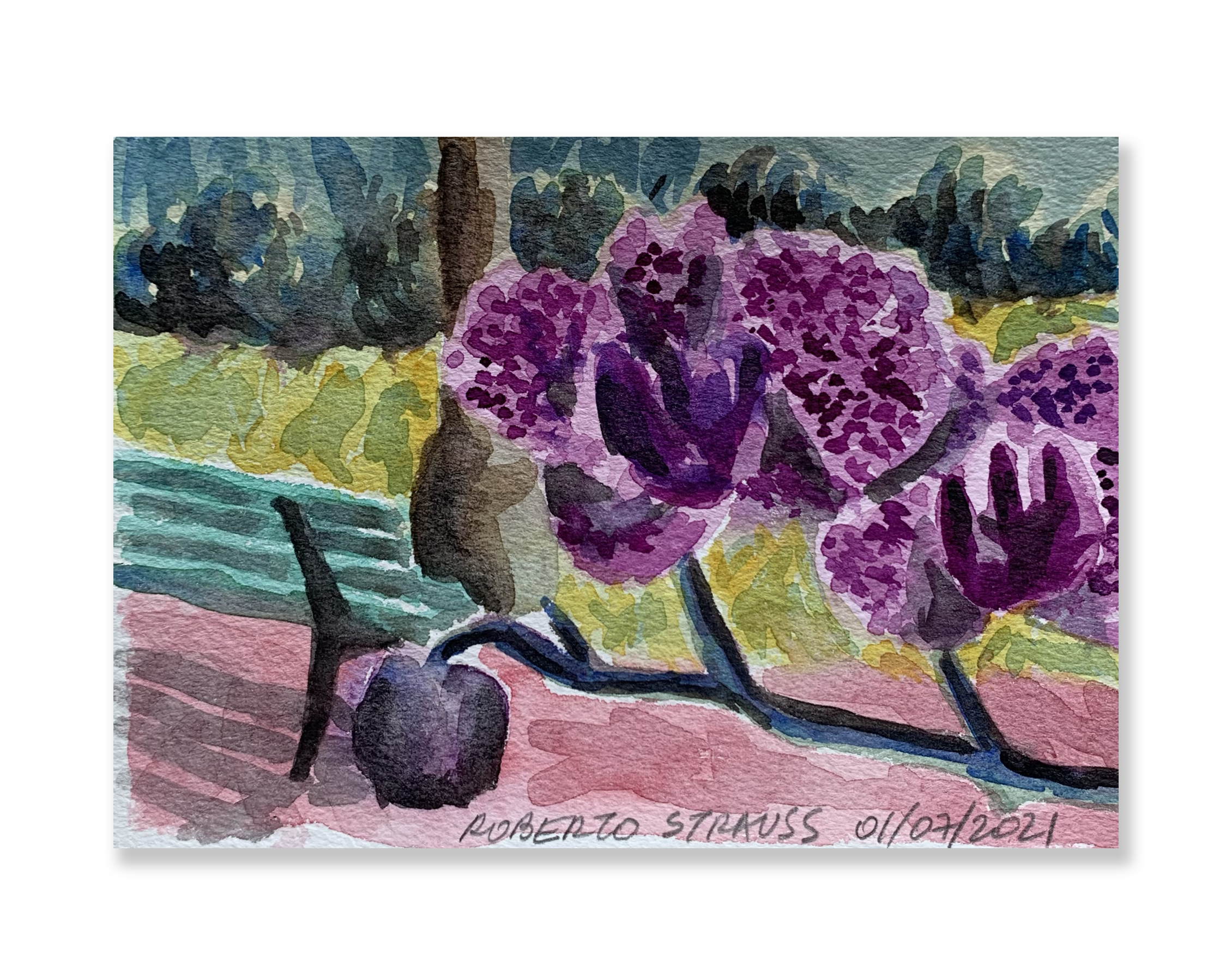 Sem título // Roberto Strauss