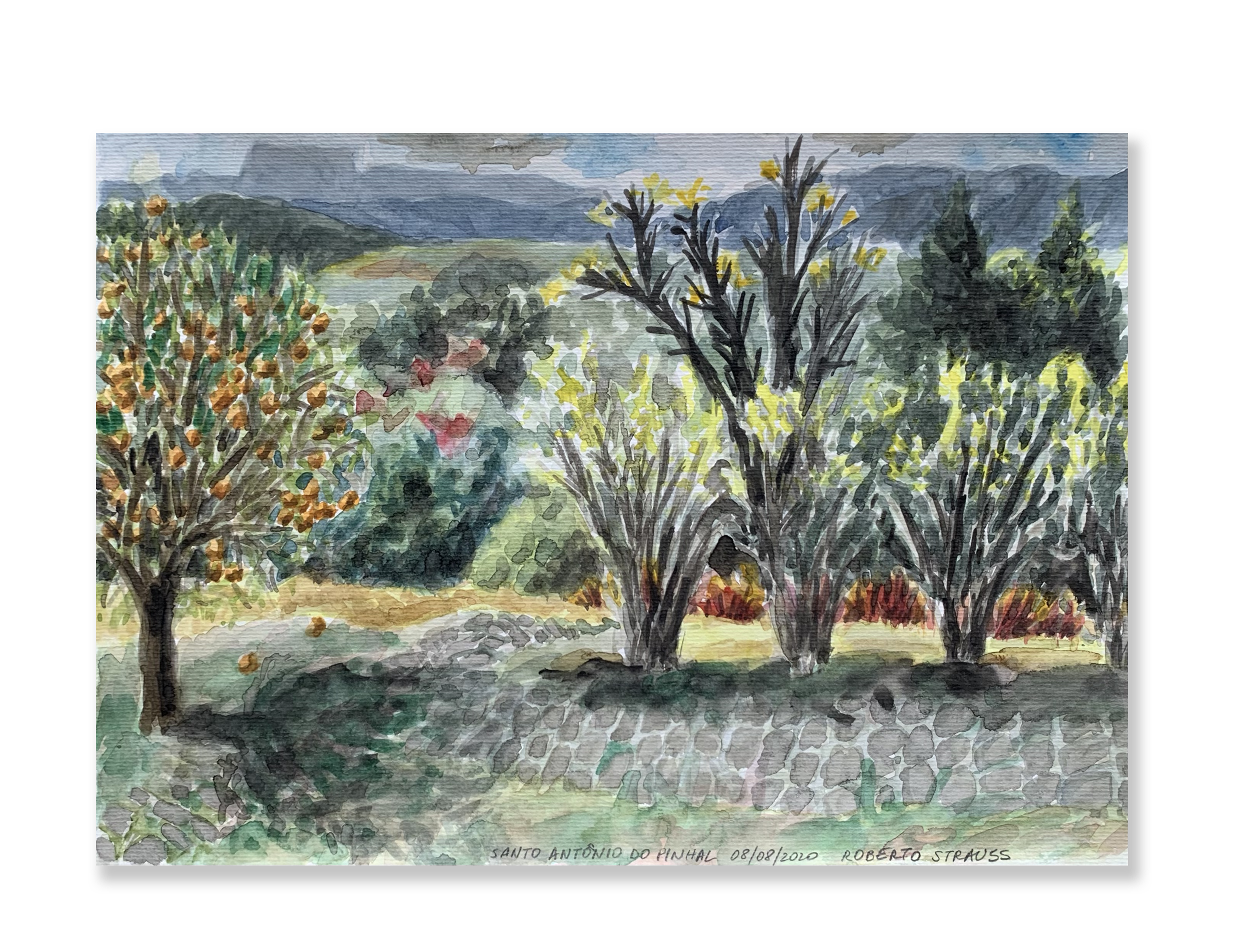 Sem título // Roberto Strauss