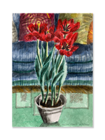 Sem título // Roberto Strauss