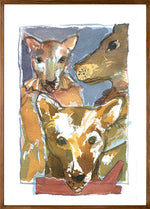 Série 'Anúncios carentes de bichos abandonados por gente' // Rubens Matuck