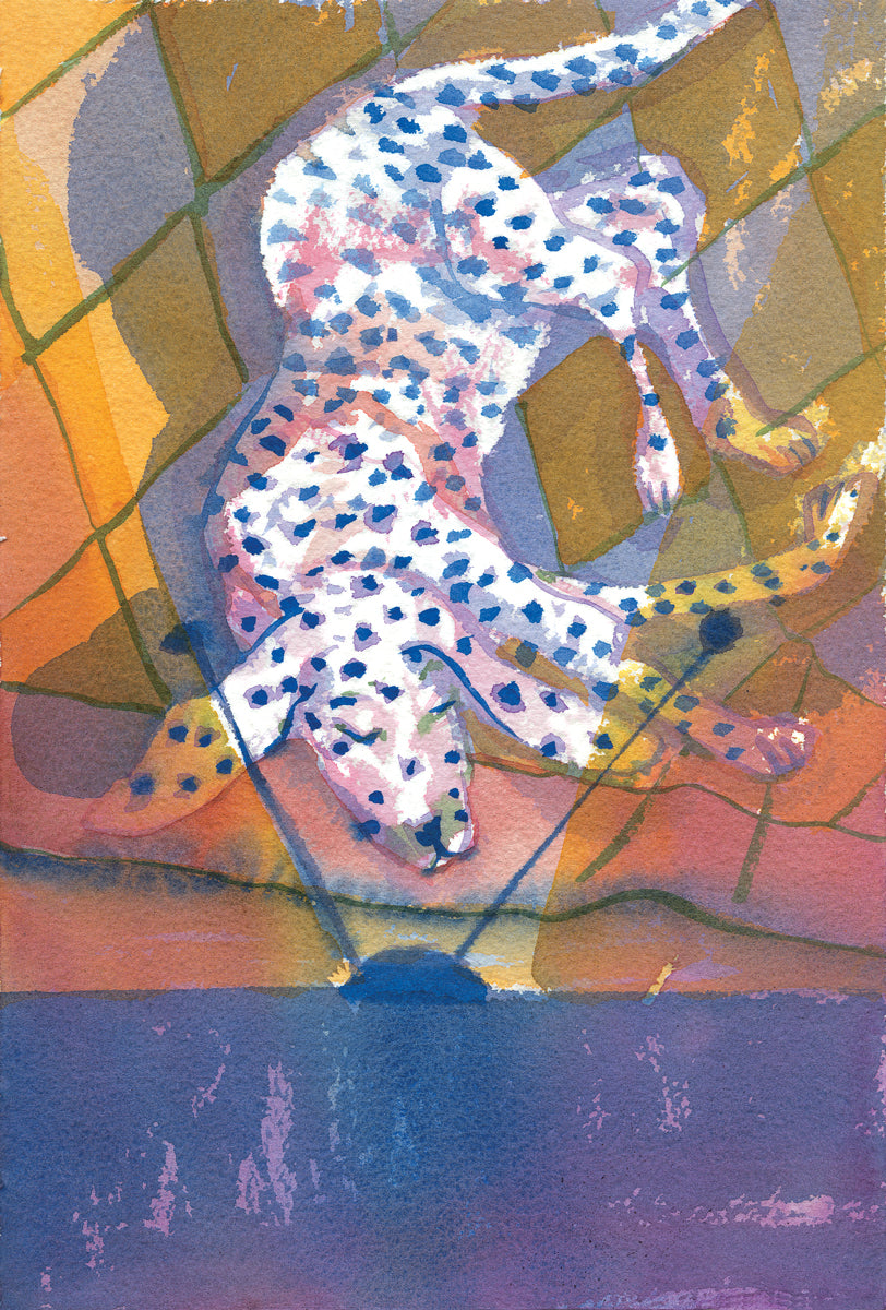 Série 'Anúncios carentes de bichos abandonados por gente' // Rubens Matuck