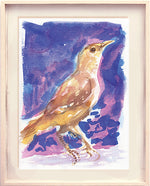 Série 'O joão-de-barro' // Rubens Matuck