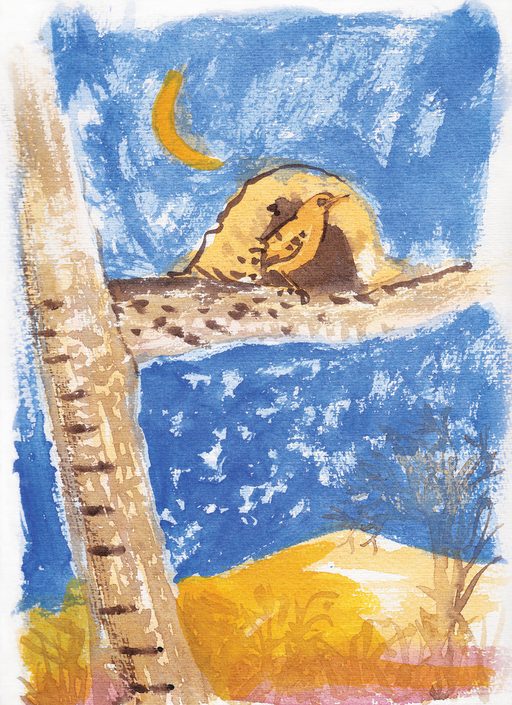 Série 'O joão-de-barro' // Rubens Matuck