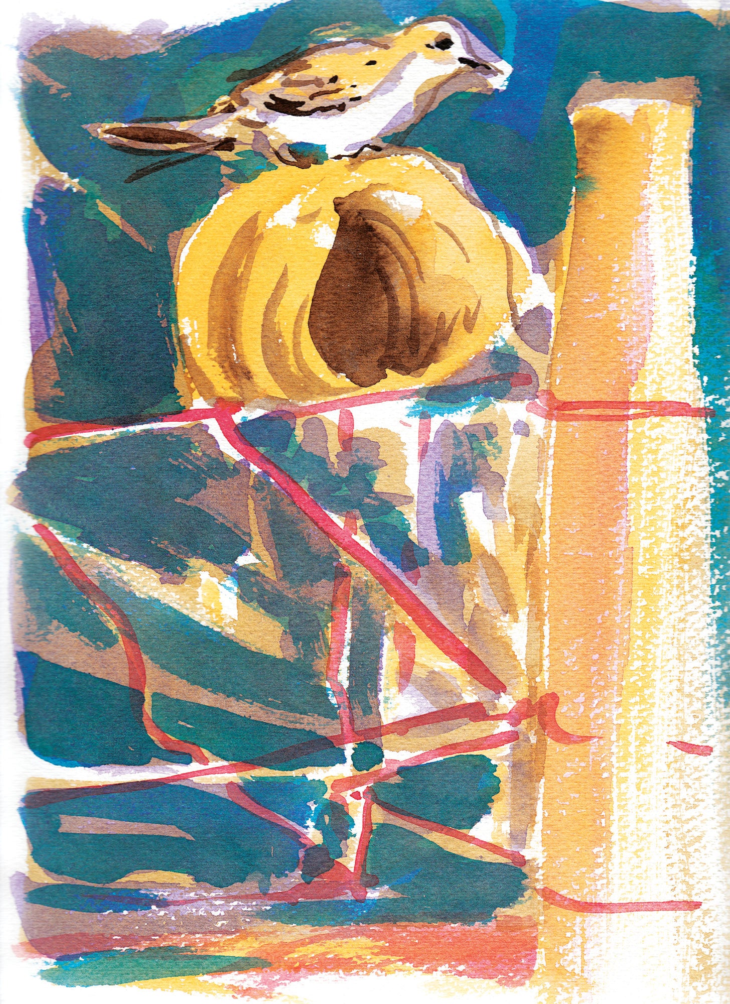 Série 'O joão-de-barro' // Rubens Matuck