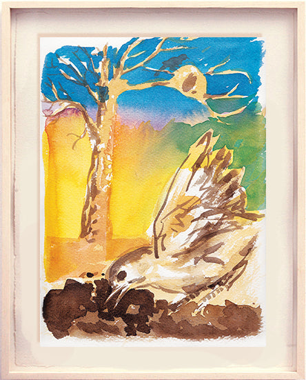 Série 'O joão-de-barro' // Rubens Matuck