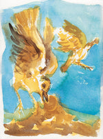 Série 'O joão-de-barro' // Rubens Matuck