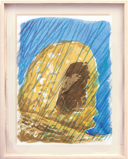 Série 'O joão-de-barro' // Rubens Matuck