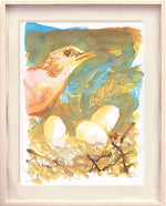 Série 'O joão-de-barro' // Rubens Matuck