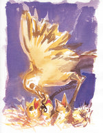 Série 'O joão-de-barro' // Rubens Matuck