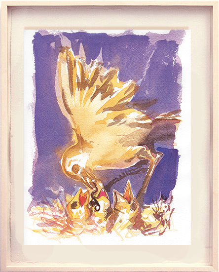 Série 'O joão-de-barro' // Rubens Matuck