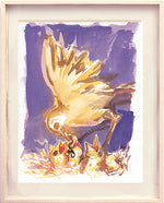 Série 'O joão-de-barro' // Rubens Matuck