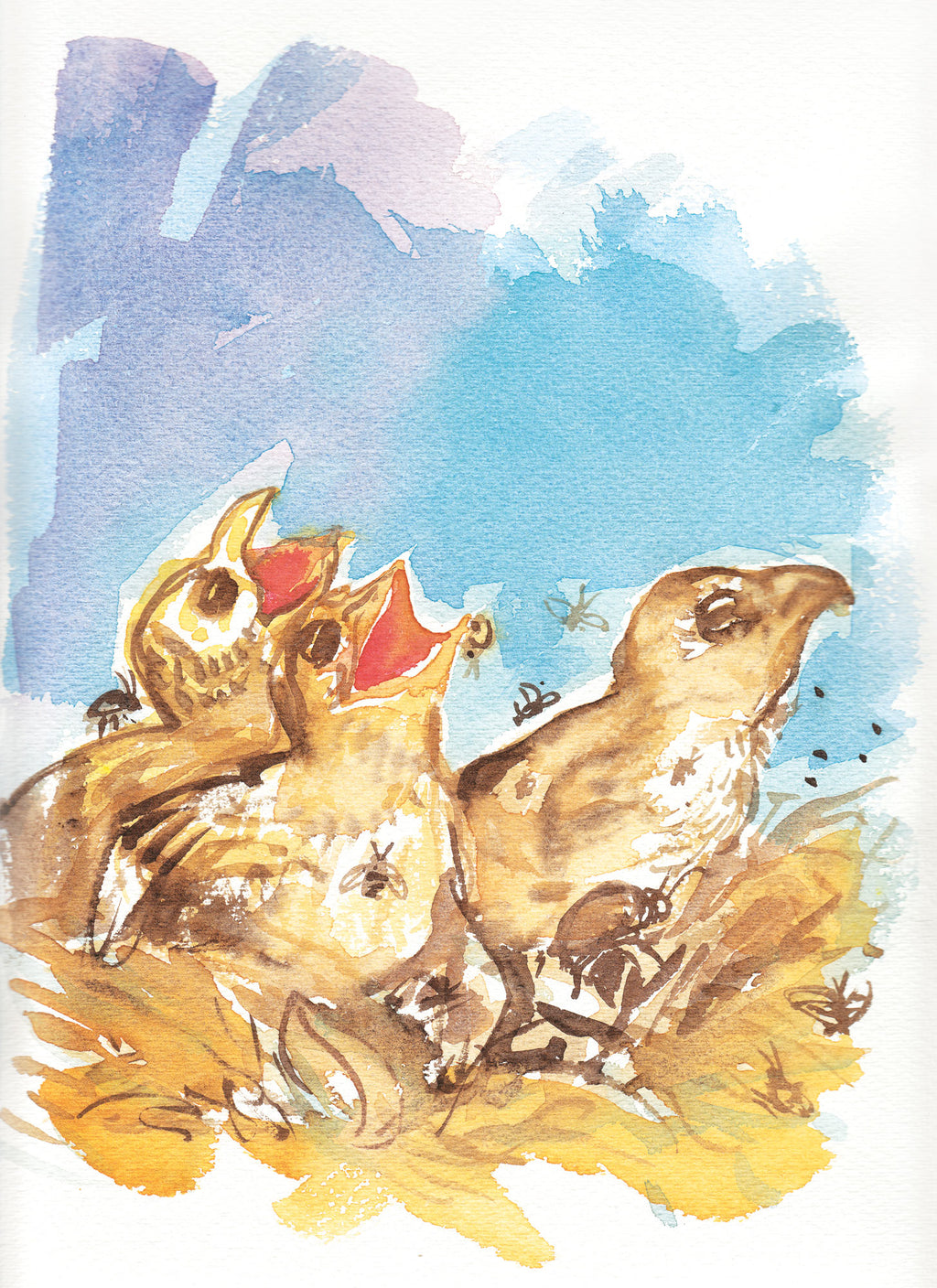 Série 'O joão-de-barro' // Rubens Matuck