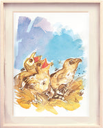 Série 'O joão-de-barro' // Rubens Matuck