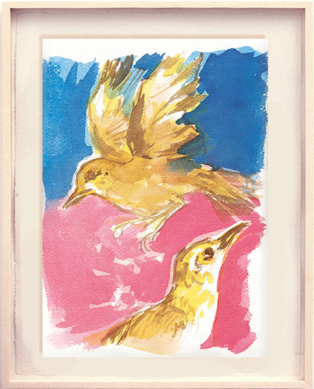 Série 'O joão-de-barro' // Rubens Matuck