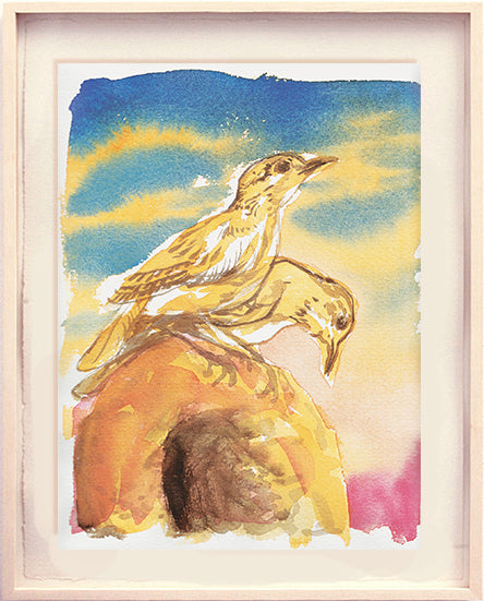 Série 'O joão-de-barro' // Rubens Matuck