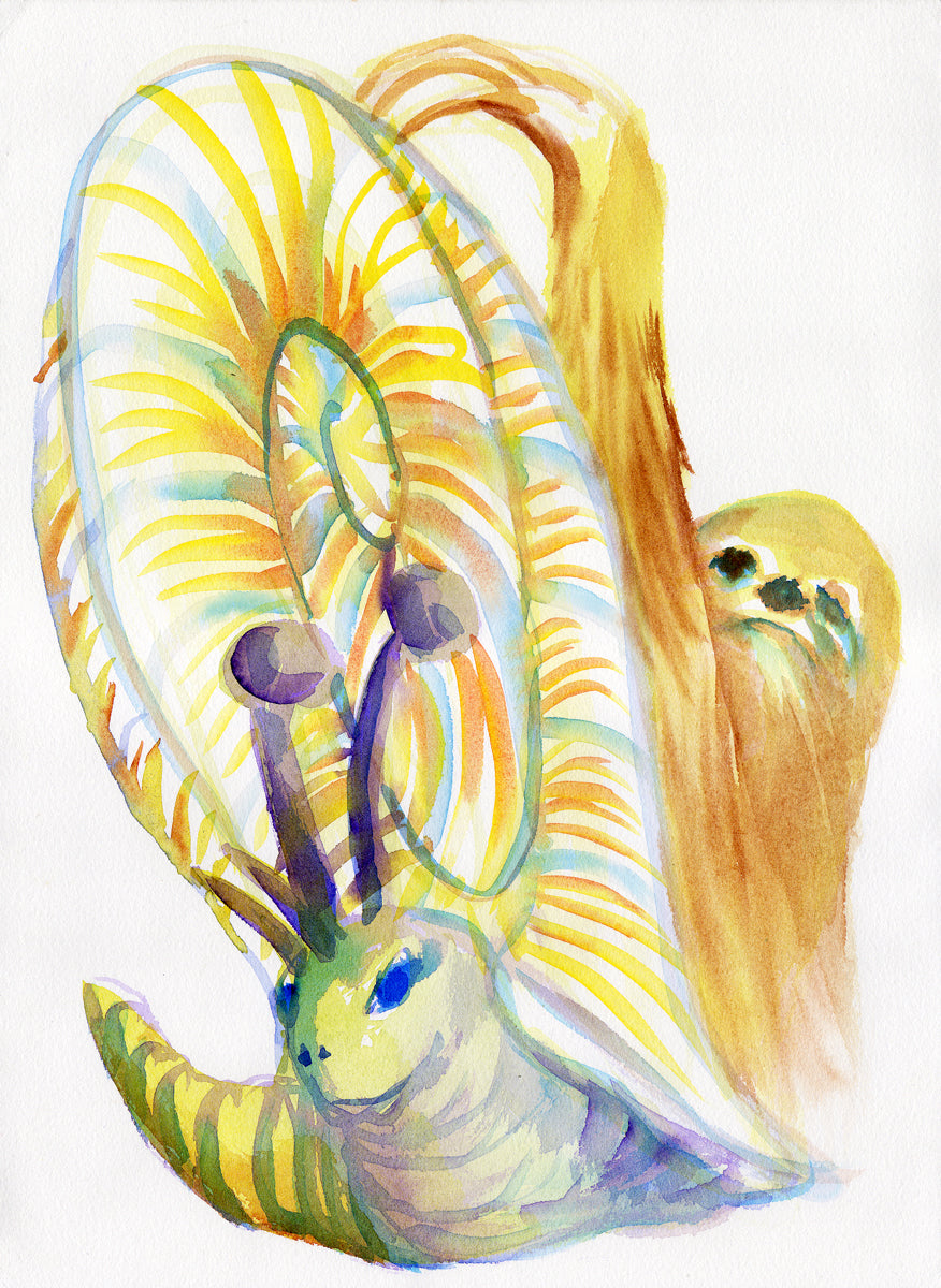 Série 'Anúncios amorosos dos bichos' // Rubens Matuck