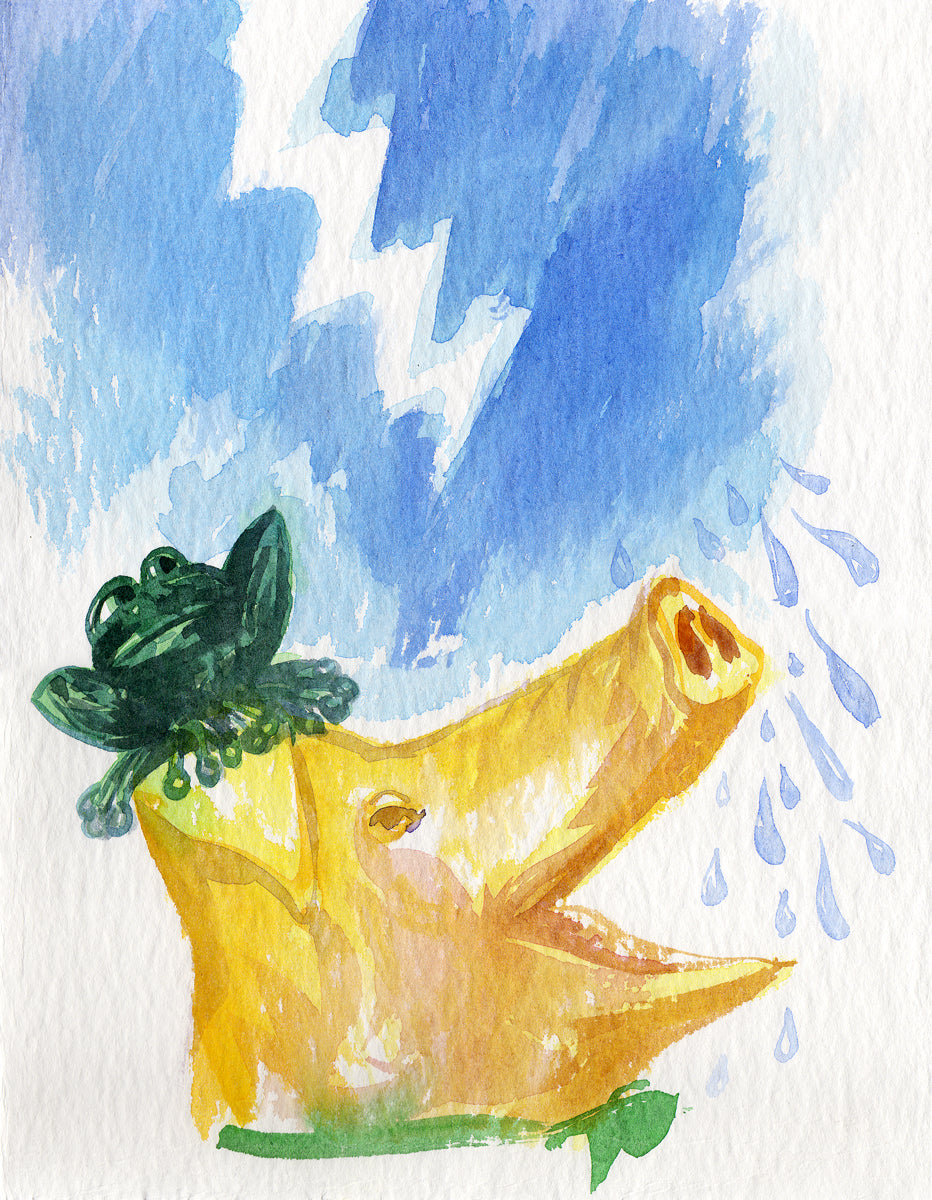 Série 'Anúncios amorosos dos bichos' // Rubens Matuck