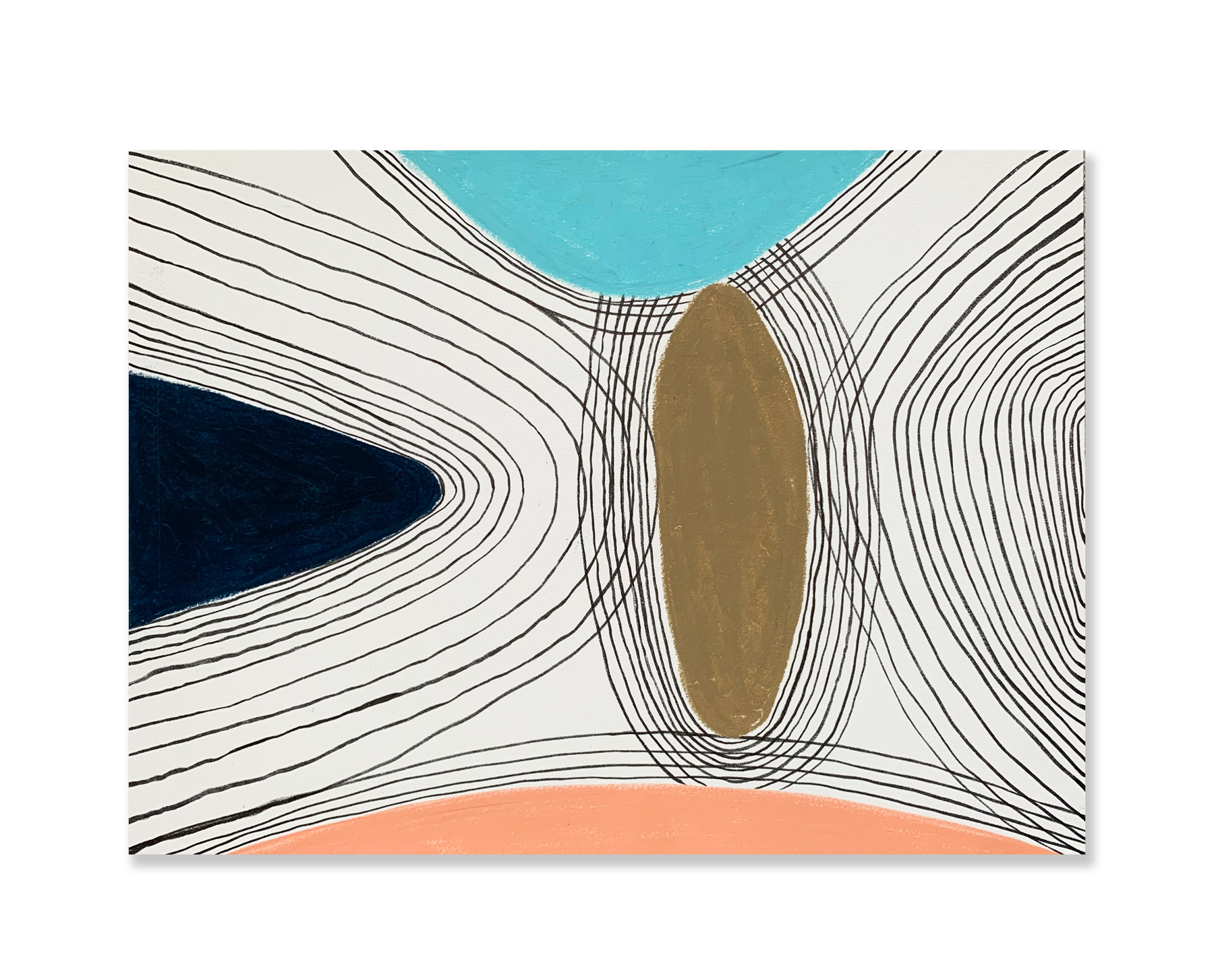 Jardim // Sandra Jávera