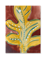 Folha // Sandra Jávera