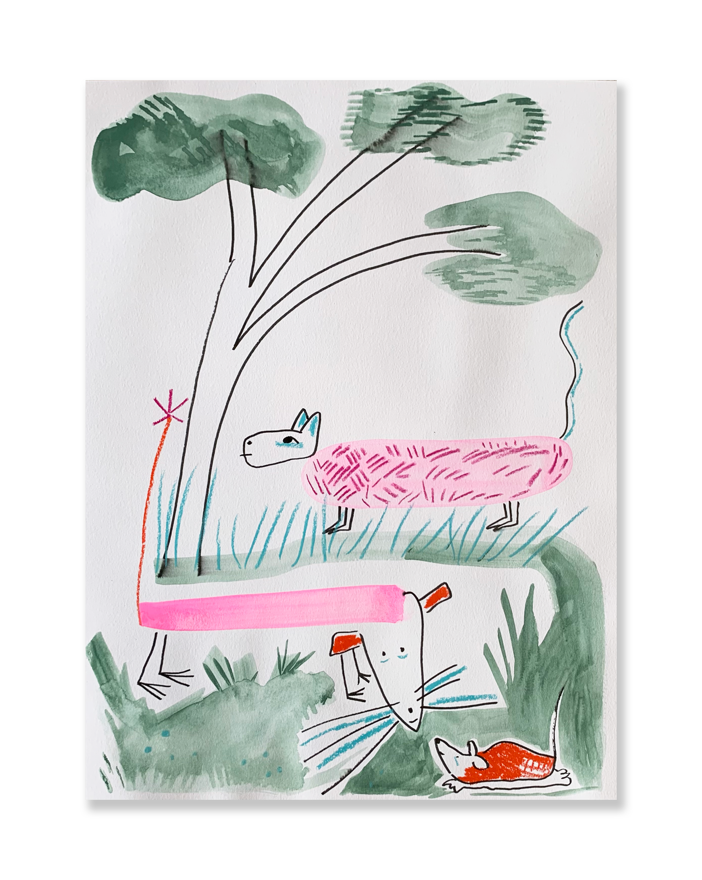 Bichos // Sandra Jávera