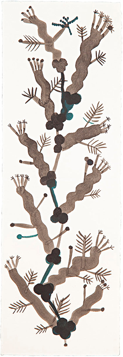 Planta 6 // Sandra Jávera