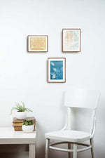 Jardim Botânico de Curitiba – PR/Brasil // Silvia Ruiz