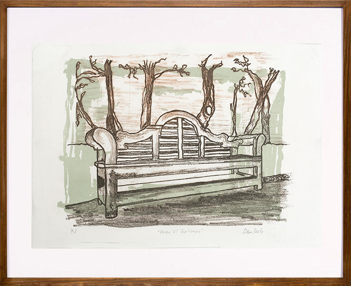 Parque del Pasatiempo I // Silvia Ruiz