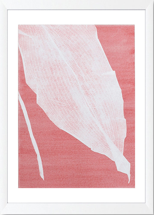 Série 'Folhas' // Silvia Ruiz