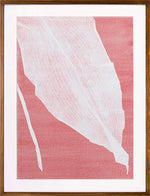 Série 'Folhas' // Silvia Ruiz